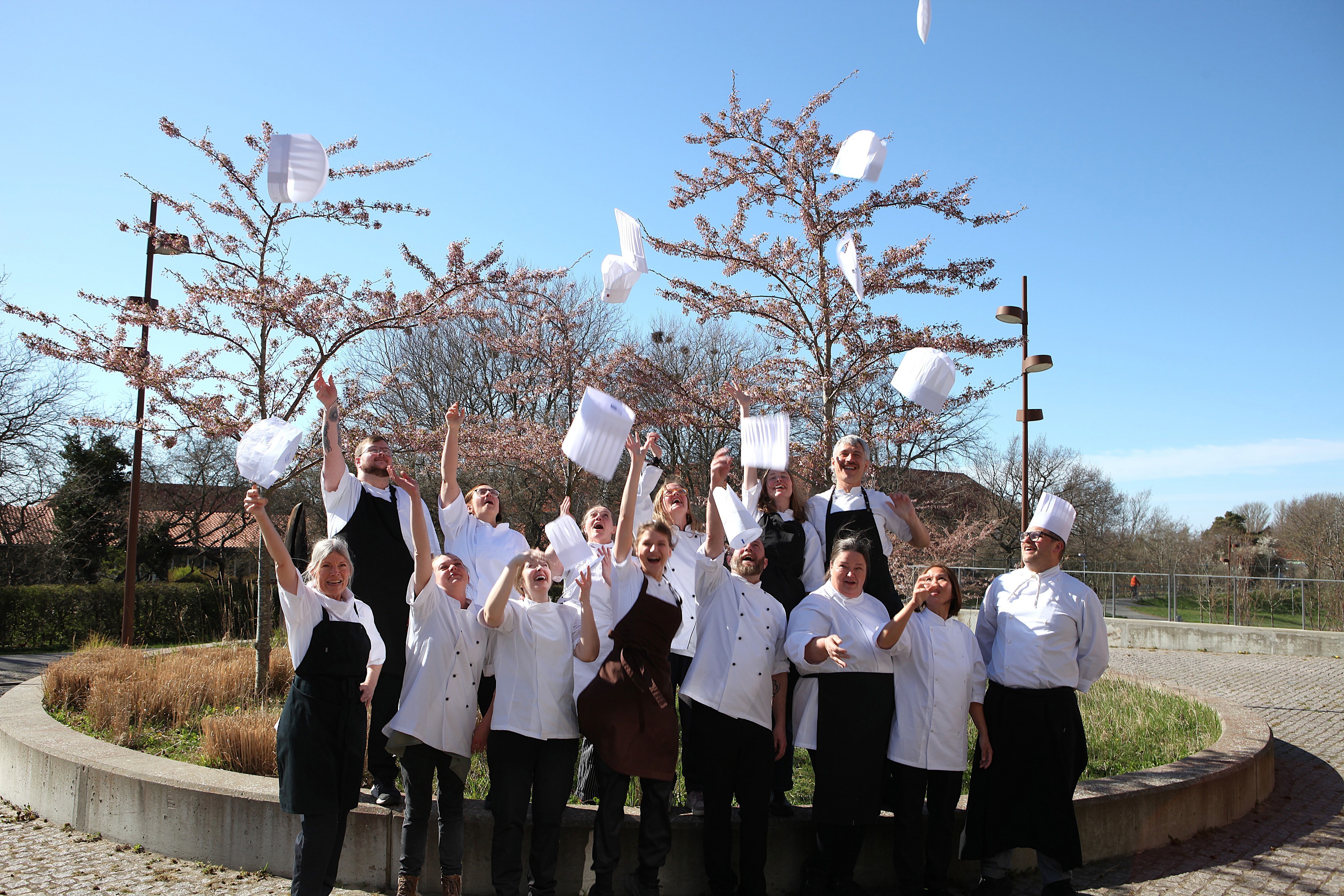 Model.Content.AltText