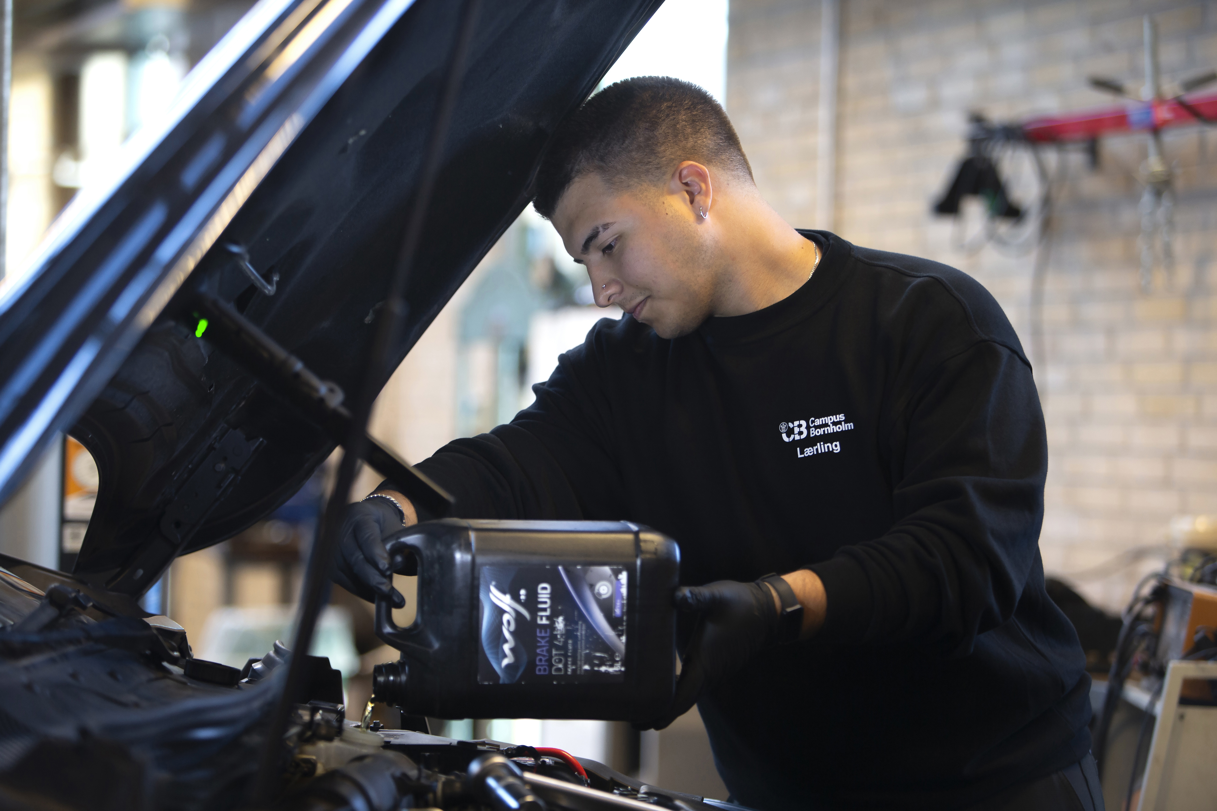 Model.Content.AltText